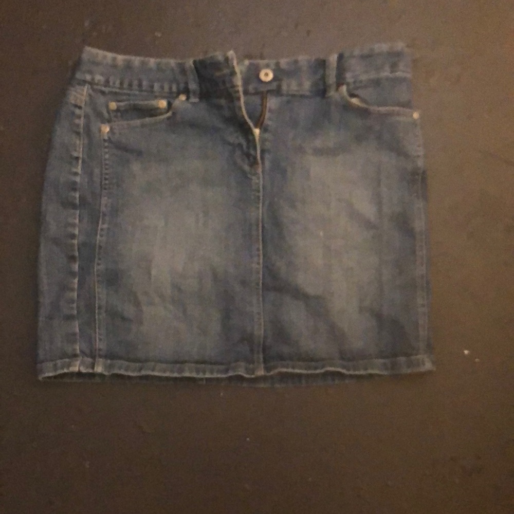 Ann Taylor Skirt